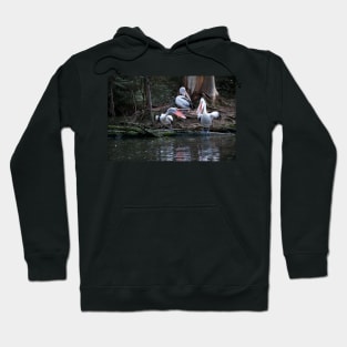 Pelican Spat Hoodie